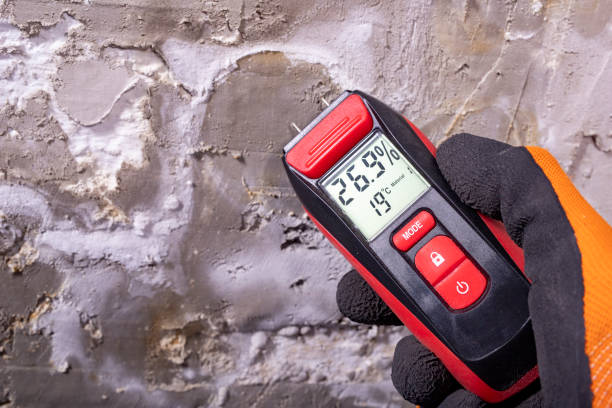 Best Mold Testing  in Watervliet, NY