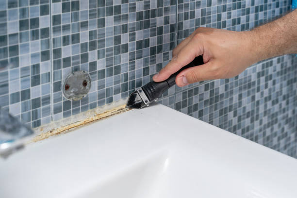 Best Professional Mold Removal  in Watervliet, NY